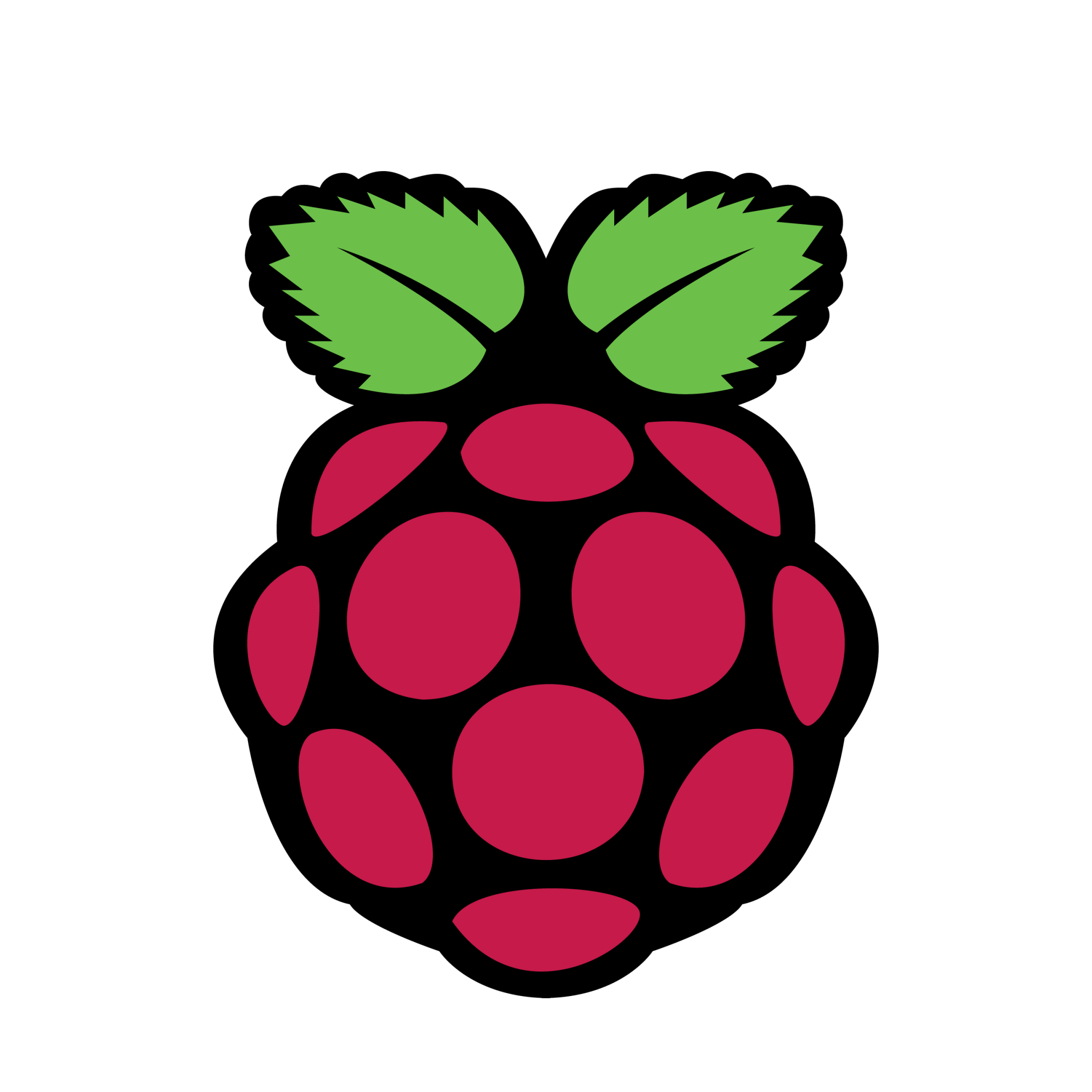 Logotipo de Raspberry Pi
